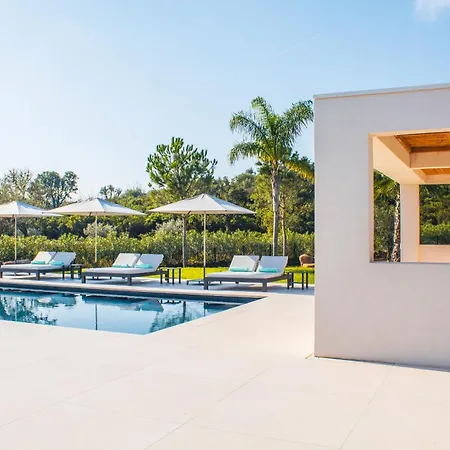 Alimea San Ciprianu * Cirendinu