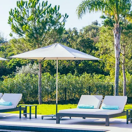 Alimea San Ciprianu Cirendinu