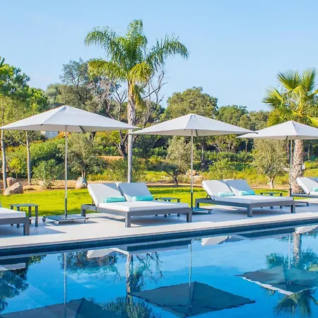 Alimea San Ciprianu Villa Cirendinu