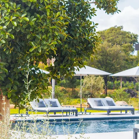 Alimea San Ciprianu Villa *