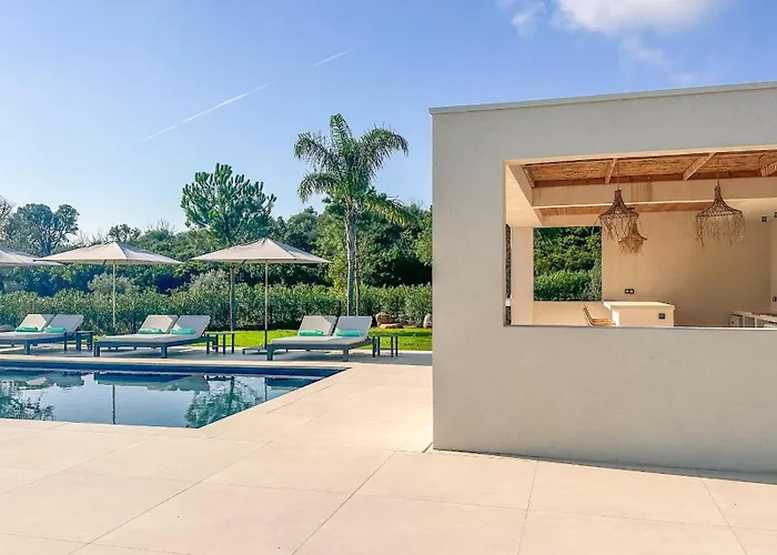 Alimea San Ciprianu Vila Cirendinu