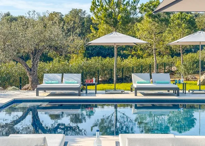 Vila Alimea San Ciprianu *