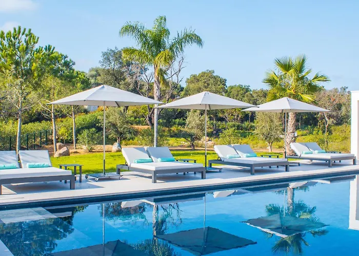 Alimea San Ciprianu Vila Cirendinu