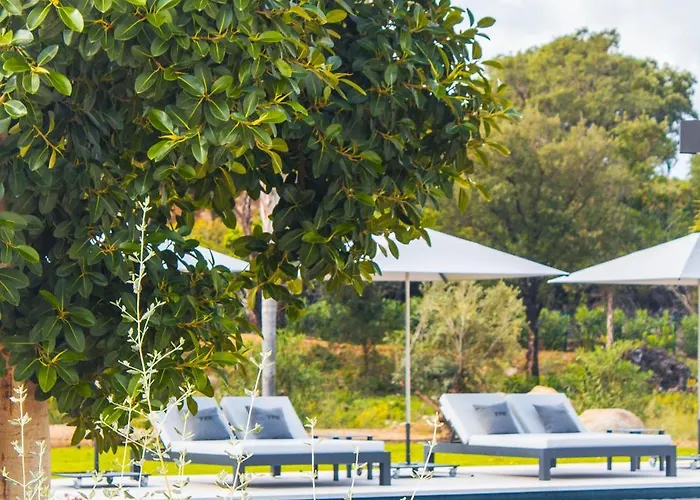 Alimea San Ciprianu Vila *